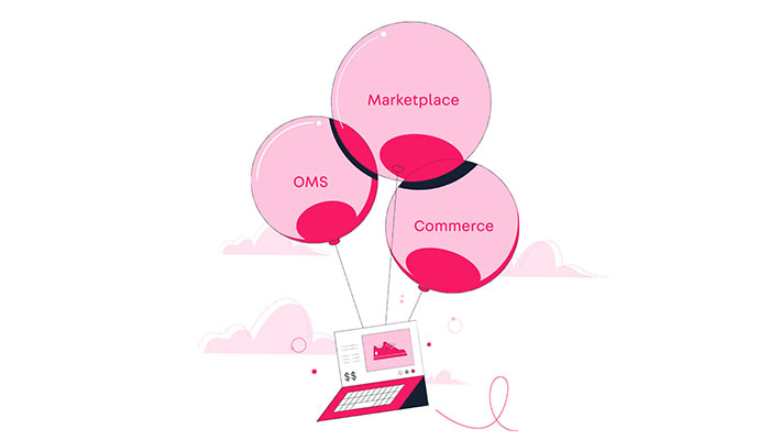 VTEX Commerce Cloud integrated solution